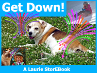 Get Down Laurie StorEBook