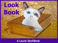 Look Book  LaurieStorEBook